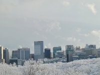 서울특별시 강남구 삼성동 [월세] 4억 5000/350 투룸(방:2/욕실:2) | 피터팬의 좋은방 구하기 서울특별시 강남구 삼성동 [월세] 4억 5000/350... 