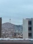 서울특별시 용산구 효창동 [매매] 17억 8000 | 피터팬의 좋은방 구하기 서울특별시 용산구 효창동 [매매] 17억 8000