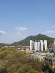 경기도 안양시 동안구 호계동 [매매] 9억 5000 | 피터팬의 좋은방 구하기 경기도 안양시 동안구 호계동 [매매] 9억 5000