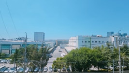 경기도 수원시 영통구 신동 [월세] 300/40 | 피터팬의 좋은방 구하기 경기도 수원시 영통구 신동 [월세] 300/40