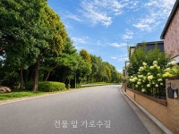 경기도 부천시 오정구 작동 [매매] 13억 5000 | 피터팬의 좋은방 구하기 경기도 부천시 오정구 작동 [매매] 13억 5000