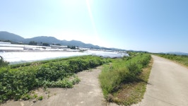 충청남도 예산군 신암면 [매매] 5040 | 피터팬의 좋은방 구하기 충청남도 예산군 신암면 [매매] 5040