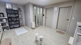 충청북도 청주시 청원구 내수읍 [월세] 500/33 | 피터팬의 좋은방 구하기 충청북도 청주시 청원구 내수읍 [월세] 500/33