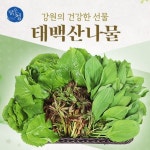 [immall] 2024 태백농협 산나물세트(산마늘200g*3팩 + 곰취200g... 산나물세트(산마늘200g*3팩 + 곰취200g*3팩+소스600ml*2봉) 12542176