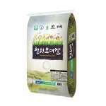 김화농협 2024 햅쌀 철원 오대쌀 10kg [1개] - 에누리 가격비교
