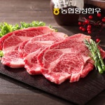 동횡성농협 농협횡성한우 횡성한우 1등급 등심 400g [1개] - 에누리 가격비교