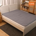 대성의료기 잠자리엔 피치스킨 카본매트 [스몰 + 스몰] - 에누리 가격비교