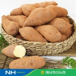 [immall] 2025 화산농협 해남 황토 밤고구마 8kg(4kg*2박스) 13577460 | 홈쇼핑모아 [immall] 2025 화산농협 해남 황토 밤고구마 8kg... 