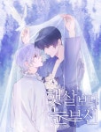 햇살보다 눈부신 - BL 웹툰 - 리디 햇살보다 눈부신