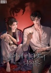 물가에 비단꽃이 나거든(15세 개정판) - 로맨스 웹소설 - 리디에만 있는 독점 작품! - 리디 물가에 비단꽃이 나거든(15세 개정판) - 리디에만 있는... 