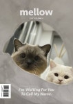 Mellow Cat Volume 6 멜로우 매거진 - 잡지 - 전자책 - 리디 Mellow Cat Volume 6 멜로우 매거진
