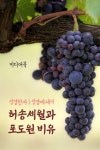 성경한자 허송세월과 포도원 비유 (성경 에세이) - 에세이/시 - 전자책 - 리디 성경한자 허송세월과 포도원 비유 (성경 에세이)
