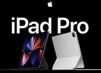 피치밸리 윌리스, 8월 말 롯데백화점 동탄점 매장 오픈 피치밸리  윌리스, 8월 말 롯데백화점 동탄점 매장 오픈