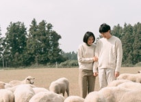 재주상회, 11월 10일 ‘한림수직 재생 프로젝트’ 텀블벅 펀딩 오픈