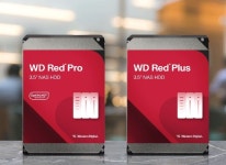 대원씨티에스, KOBA 2025에서 Western Digital 및 ASUSTOR NAS 솔루션 공동 전시