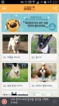 반려견이 듣는 음악 앱 해피독뮤직 2집드라이브할 때 출시