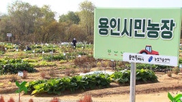 배수지 : 뉴스 : SBS 함께 만드는 기쁨 SBS