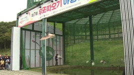 따오기 : 통합검색 : SBS 따오기 검색결과 | SBS 뉴스 검색