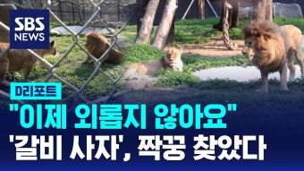 꽁무니 : 통합검색 : SBS SBS