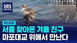 블라인드 | 대교 뉴스