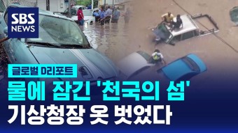 집중호우 : 뉴스 : SBS SBS