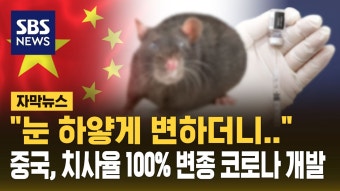 우한 : 통합검색 : SBS SBS
