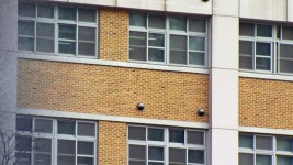 모 초등학교 학기전부터 뉴스타고 난리났구만... - 초등교육 마이너 갤러리