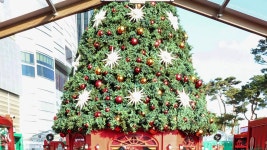 김주환 : 통합검색 : SBS SBS