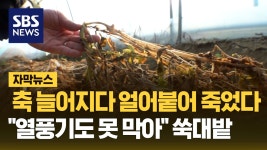 김규태 : 통합검색 : SBS 김규태 검색결과 | SBS 통합 검색