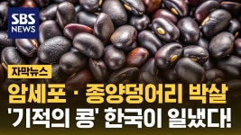동물농장 : 통합검색 : SBS SBS