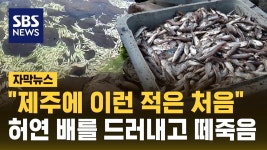 이성우 : 통합검색 : SBS SBS