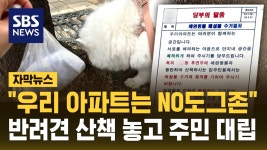 견주 : 통합검색 : SBS SBS