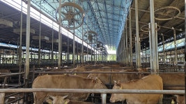 김은숙 : 통합검색 : SBS SBS