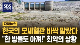 배수지 : 통합검색 : SBS SBS