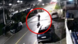 JTV : 통합검색 : SBS SBS