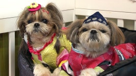 대형마트 : 통합검색 : SBS SBS