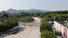 100 : 통합검색 : SBS SBS