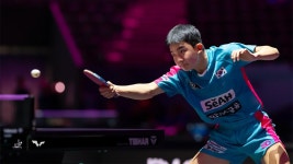 후이 : 통합검색 : SBS SBS