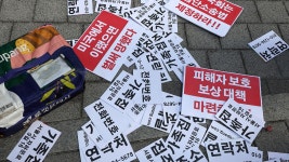 강정화 : 통합검색 : SBS SBS