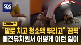 견주 : 통합검색 : SBS SBS