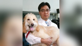 동물농장 : 통합검색 : SBS SBS