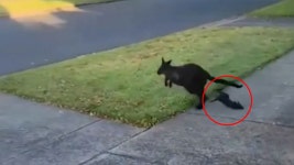 어미 : 통합검색 : SBS SBS