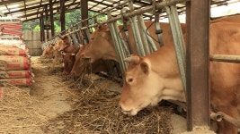 김종구 : 통합검색 : SBS SBS