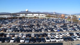 김해일 : 통합검색 : SBS SBS