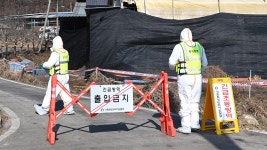 구제역 : 통합검색 : SBS SBS