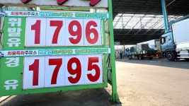 토마토 : 통합검색 : SBS SBS