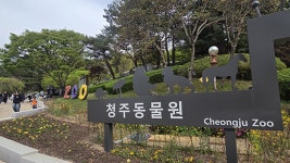 tv 동물농장 : 통합검색 : SBS tv 동물농장 검색결과 | SBS 통합 검색
