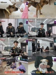 정혁 : 통합검색 : SBS SBS