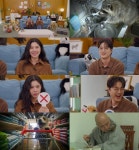 이장원♥배다해 : 통합검색 : SBS 이장원♥배다해 검색결과 | SBS 통합 검색
