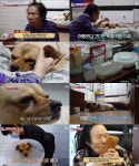 tv 동물농장 : 통합검색 : SBS tv 동물농장 검색결과 | SBS 통합 검색